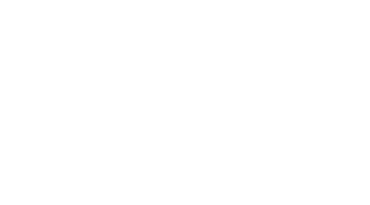 DataConsult